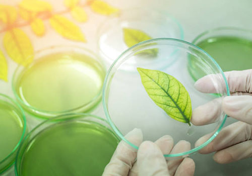 CFGS Química i salut ambiental